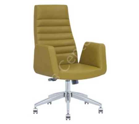 Fly Ofis ve Büro Müdür Koltuk