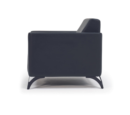 Apollo Ofis Büro Tekli Kanepe